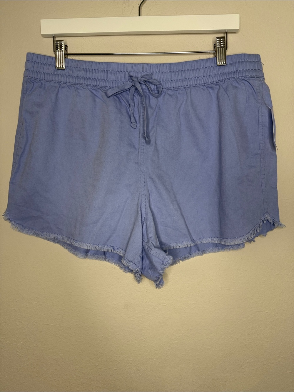 GAP Periwinkle Drawstring Shorts - L1205